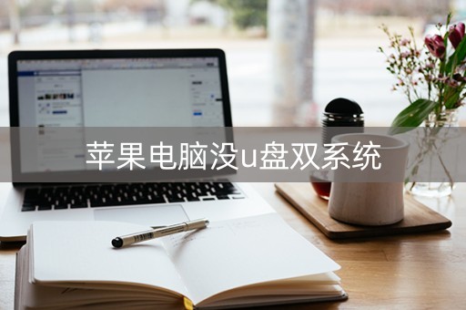 苹果电脑没u盘双系统（无u盘macbook装双系统）